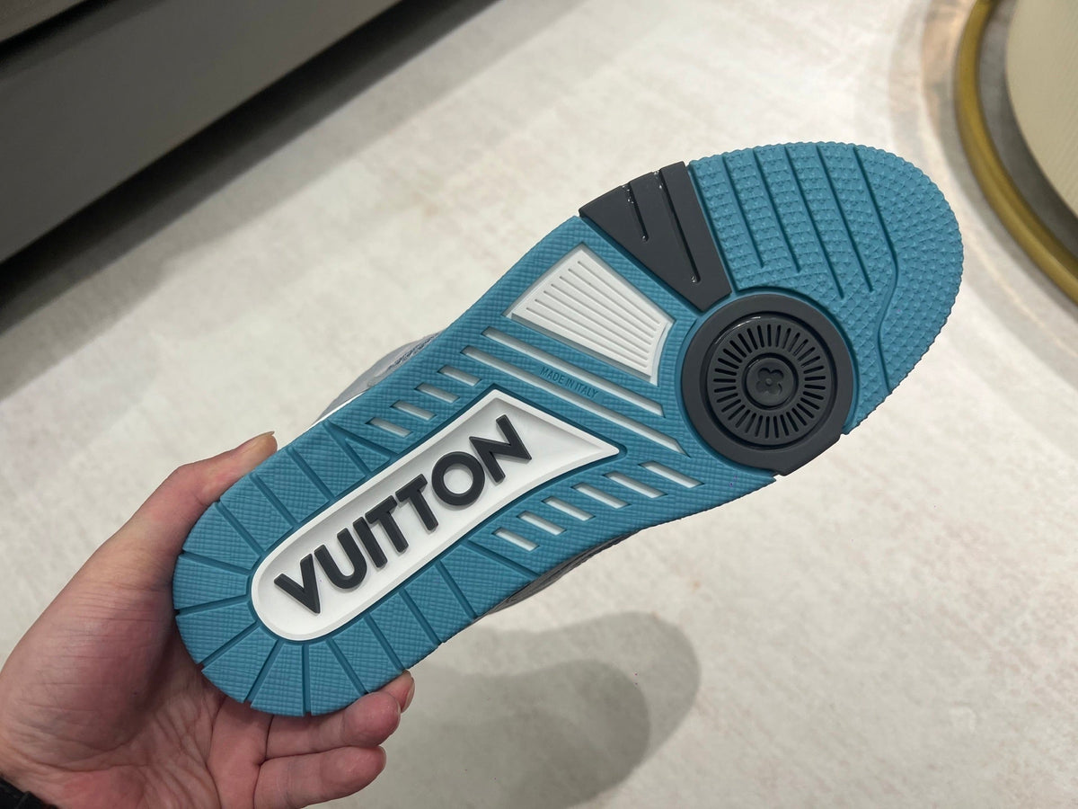 Louis Vuitton Skate Sneaker Luxury Gris